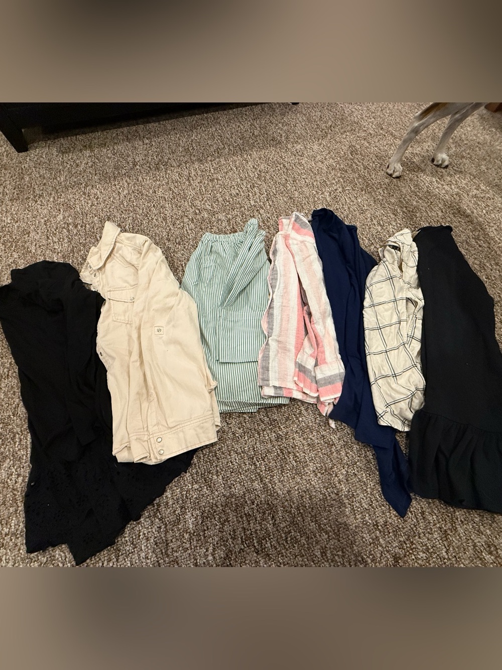 Women’s medium clothing lot